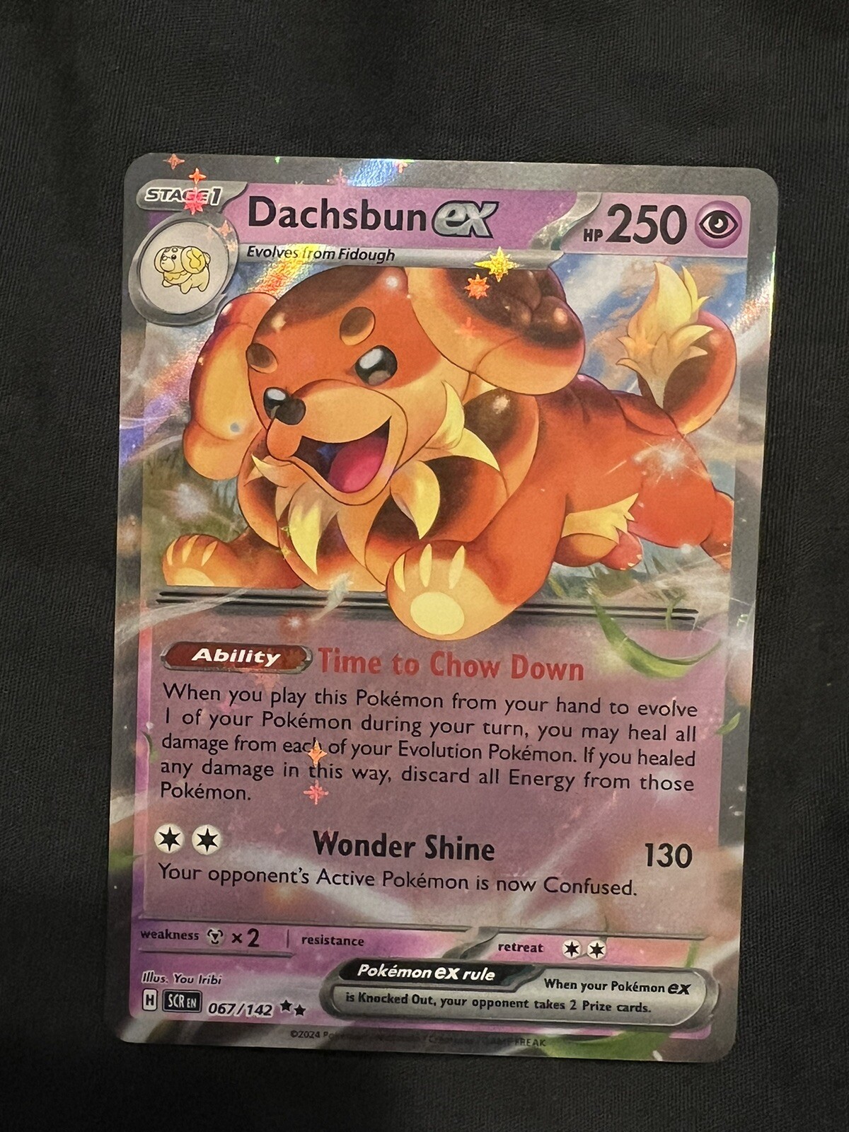 Dachsbun ex 067/142-Stellar Crown-Double Rare-Pokémon TCG-NM