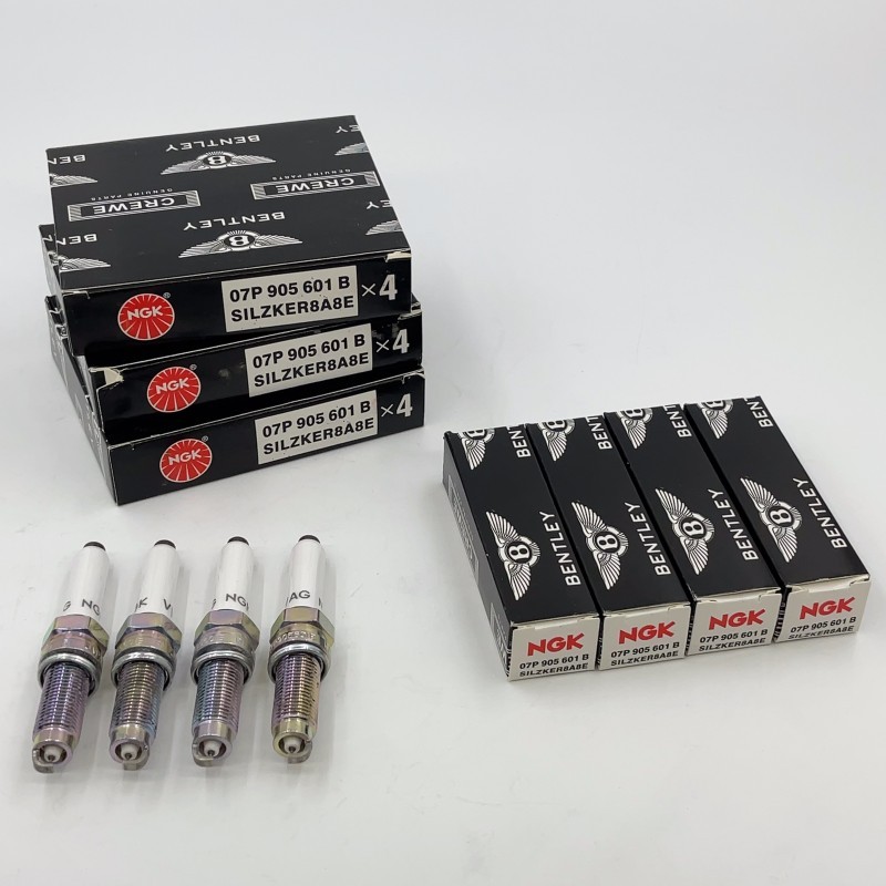 12X OEM Spark Plugs Fitting Bentley W12 6.0T 07P905601 A B W12