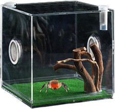 Jumping Spider Enclosure Spring Spider Living Room Spider Terrarium Tarantula En