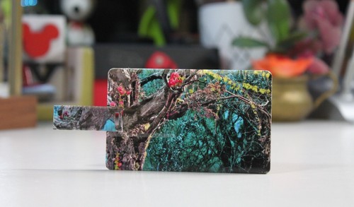 Chiavetta USB Dolce & Gabbana – Edizione Limitata Modello Card USB ultra slim - Afbeelding 2 van 8