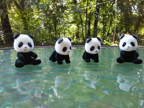 calico critters panda twins