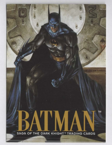 1994 Skybox DC Comics Batman Saga of the Dark Knight Promo Card NEW UNCIRCULATED - Picture 1 of 2
