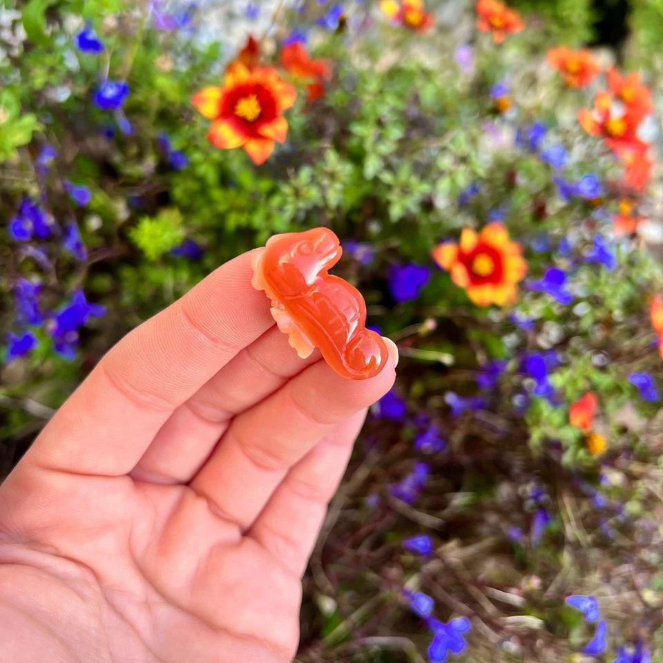 Natural Carnelian Seahorse & Stegosaurus Crystal Carvings Cute Small Gift Idea - Image 3 of 4