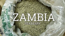 5 LB FRESH UNROASTED ZAMBIAN ZAMBIA PEABERRY GREEN COFFEE BEANS - ARABICA
