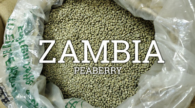 5 LB FRESH UNROASTED ZAMBIAN ZAMBIA PEABERRY GREEN COFFEE BEANS - ARABICA