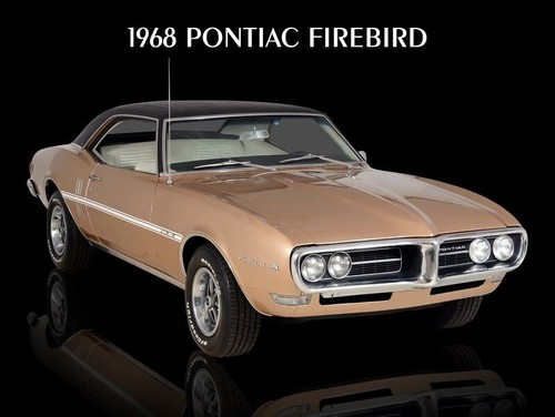 1968 Pontiac Firebird in Bronze w/ Vinyl Top NEW METAL SIGN: 9x12" Free Shipping - 第 1/1 張圖片