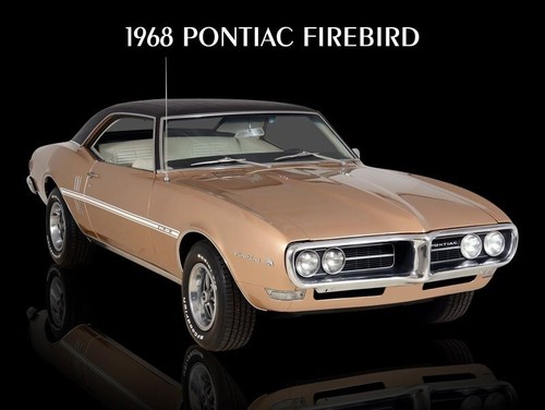 1968 Pontiac Firebird in Bronze w/ Vinyl Top NEW METAL SIGN: 9x12" Free Shipping - Afbeelding 1 van 1