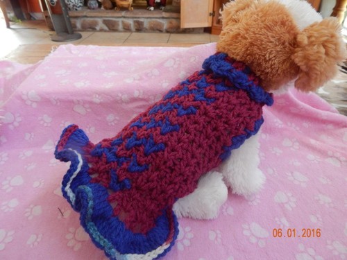 Dog Apparel "COLLEGIATE SURPRISE" Dress w/RUFFLE SKIRT XS - Picture 4 of 7