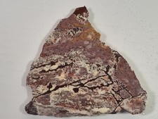 Unpolished End Pc SONORA DENDRITIC RHYOLITE Lapidary Slab *Dendrites *Tulip Pic