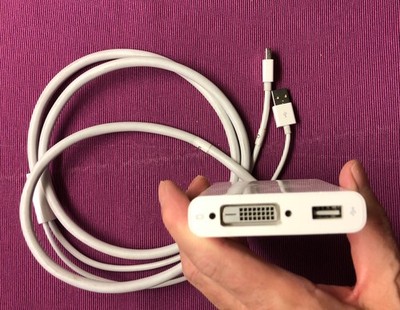 Apple A1306 Mini DisplayPort Dual Link DVI : gebraucht