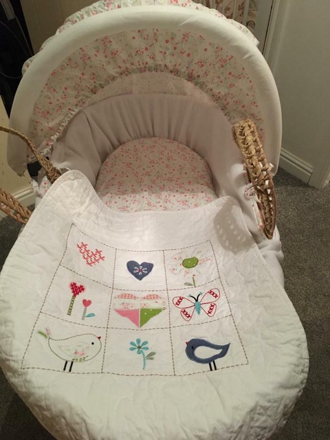 bizzi growin moses basket