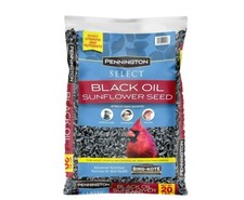 Pennington Select Black Oil Sunflower Seed Dry Wild Bird Feed, 20 lb. Bag, 1 Pac