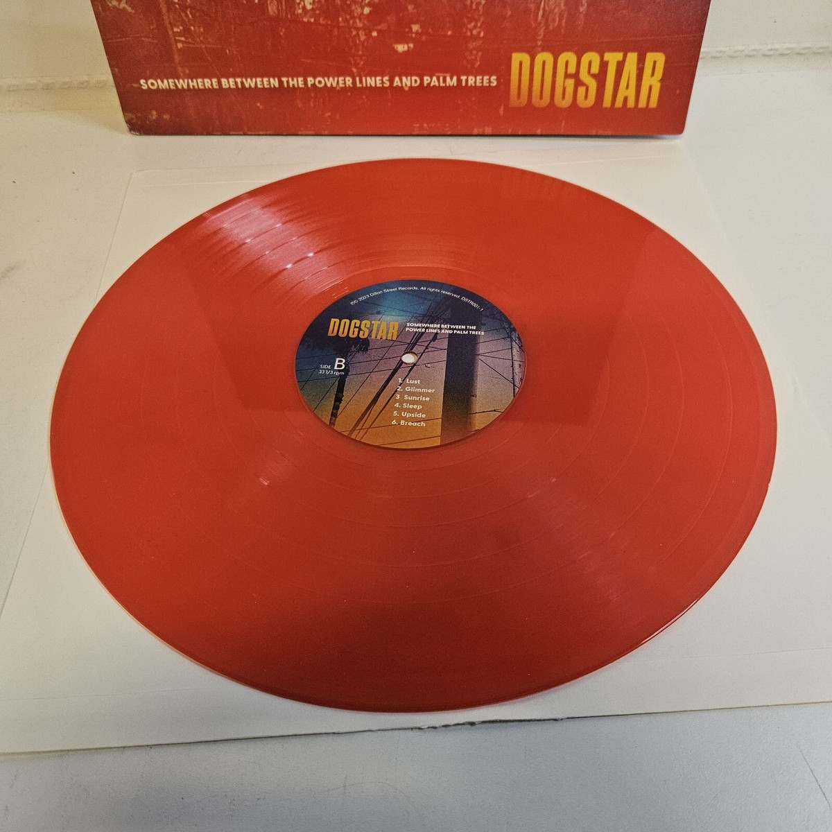 DOGSTAR SOMEWHERE BETWEEN THE POWER LINES AND PALM TREES LP
