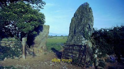 Photo 6x4 Bryn Gwyn Prehistoric Stone Circle Dwyran Only two of the origi c1980