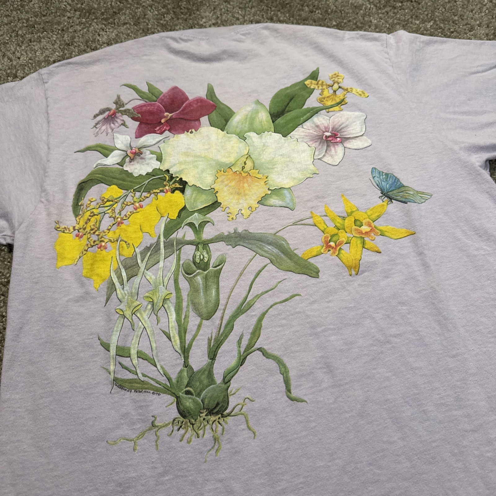 Picture 3 of 7