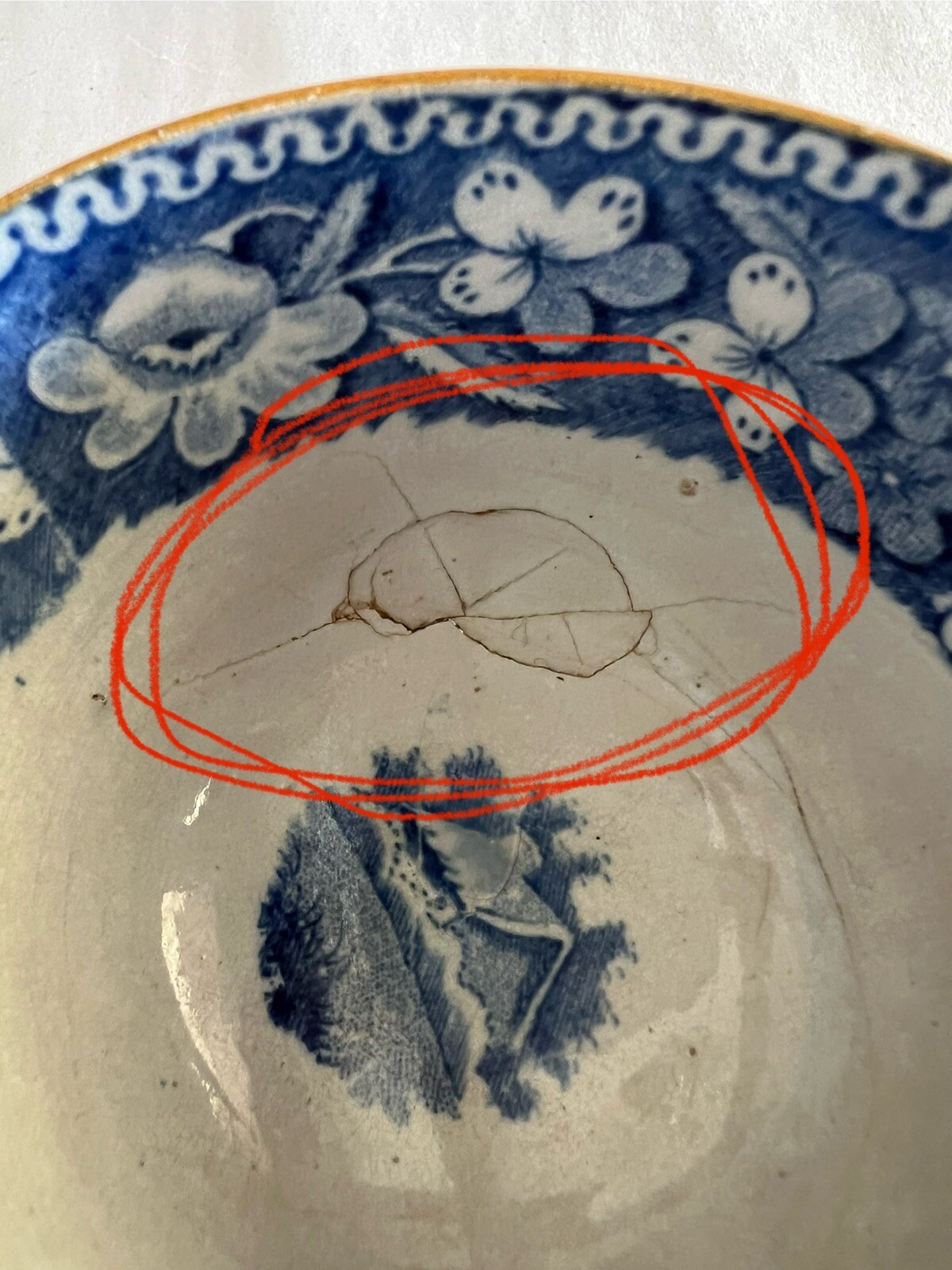 Picture 11 of 11
