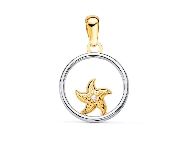 18K Gold Pendant Bicolor Round With Starfish 13