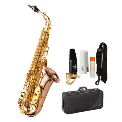 Yanagisawa A-WO20 Eb Alto Saxophone Bronze Brass Lacquered w/ Semi