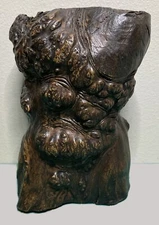 Chinese burlwood naturalistic tree trunk Brush Pot Bitong