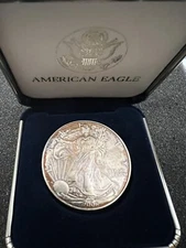 2006 American Silver Eagle, Uncirculated - Toning, in Velvet Case, No Box or COA