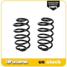 2pcs Rear Side Coil Spring Set for 2007 2008-...