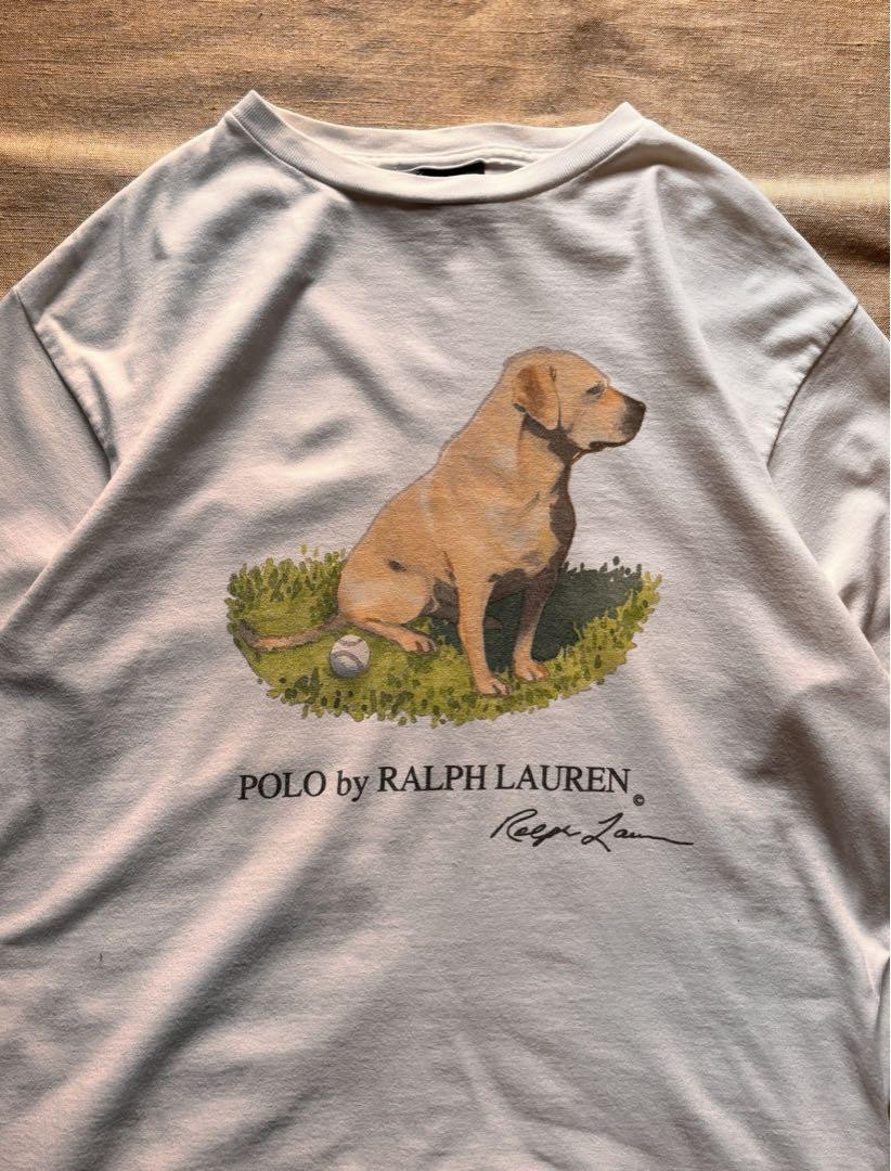ちょび POLO RALPH LAUREN ゴールデンレトリバー fit=scale-down,w=1200