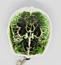 Brain Scan MRI CT Badge Reel ID Holder Nurse Radiologist Tech Lab RT Neuro RAD