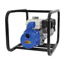 Amt Pumps 316F-95 Engine Driven Pump, Cast Iron, 5 Hp