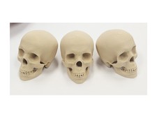 3pcs x 2  Mini Skull   3-D Printed PLA   Desk...