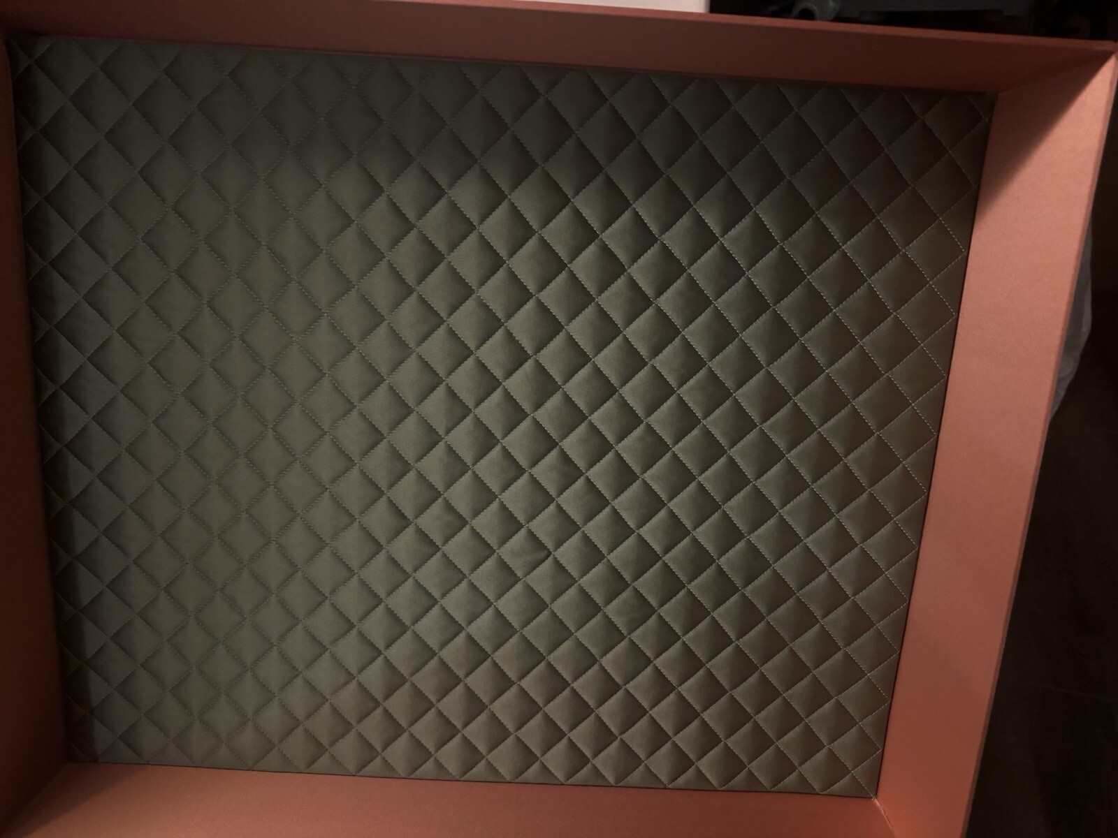 GUCCI Large Diana Python Excellent Condition with… - image 8