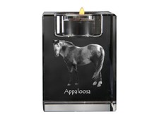Appaloosa porte-bougie en cristal avec un cheval Art-Dog