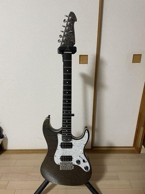 Keipro ST Sparkle HH Electric Guitar 24 Frets Ivory Binding Locking