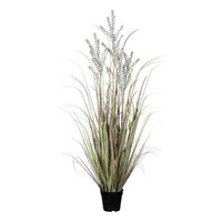 artplants Deko Sand-Reitgras Lerva Mit Rispen, GrüN-Rosa, 125Cm