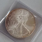 2010 1 Oz Silver American Eagle (Brilliant Uncirculated)