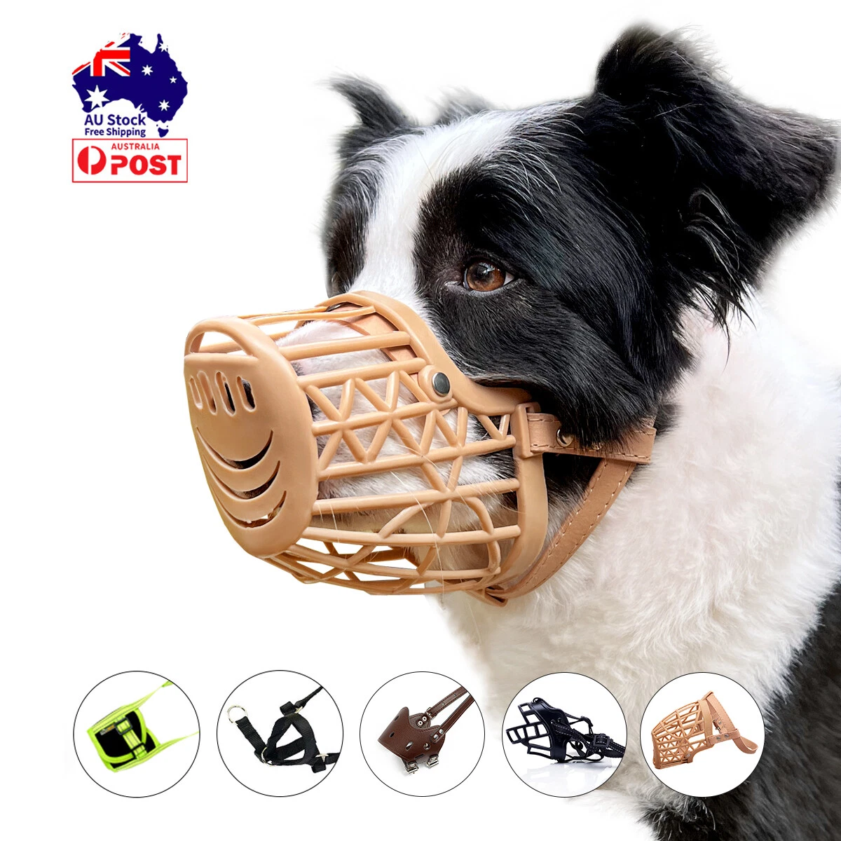 Custom made dog muzzles australia cheap