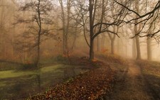 Landscape nature morning fall mist park trees path Custom Gaming Mat Desk