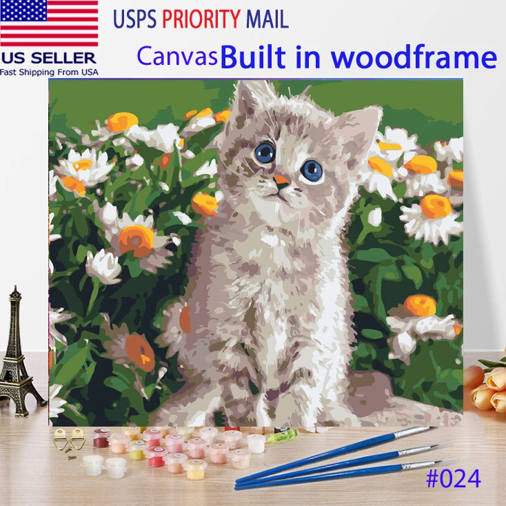 Wooden Framed DIY Oil Painting Paint by Numbers Kit for Adults kids kitten  cat