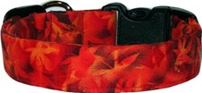 Blended Autumn Colors Leaves Custom Handmade Dog Collar