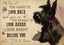 Scottish Terrier When It's Too Hard to Look Tin Metal Signs Home D cor 8x12