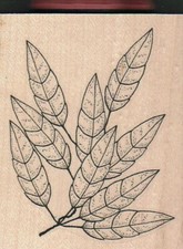 Long Leaves With Extra Leaf 3 x 3 1/2" Rubber Stamp, Flower Stamp, Plant Stamp