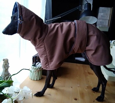 greyhound rain jacket