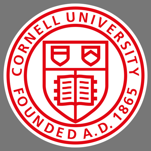 Cornell University Vinyl Sticker Car Truck Window Decal College Big Red