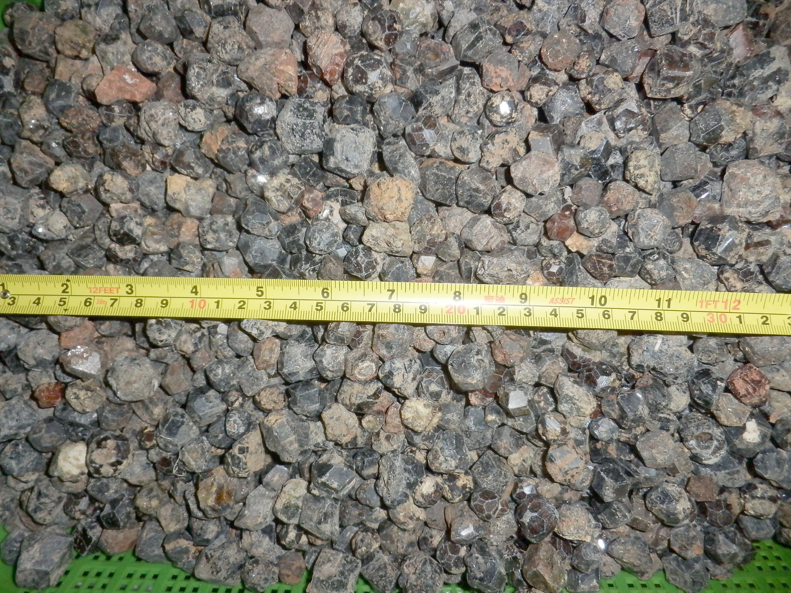 Picture 4 of 12