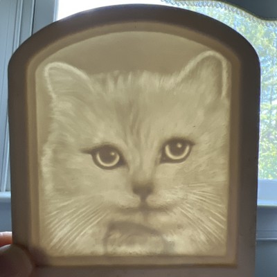 Lithopane Ceramic Cat Face 3x4 Part READ Replacement Night Light Sun Catcher