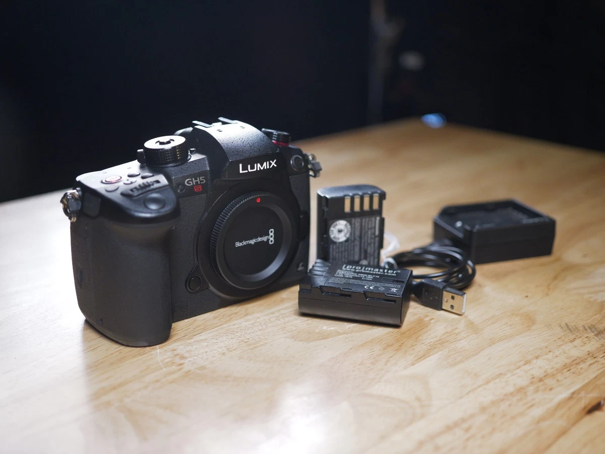 Panasonic LUMIX GH5s Panasonic LUMIX Digital Cameras for sale - eBay