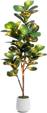 5Ft Artificial Fiddle Leaf Fig Tree with LED Fairy Lights & White Planter - Life