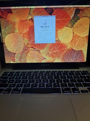 Apple MacBook Pro A1278 13.3 Laptop Silver Mid 2010 Boots And Runs Case Included
