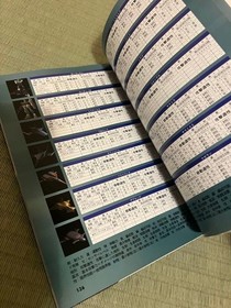 Gillen'S Ambition Sega Saturn Mobile Suit Gundam Victory Special Guide USED JPN