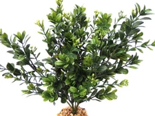 10" LG Dark Green BOXWOOD Plastic Plant, Stone Base, Lower Forty Farm, unique ha