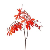 artplants KüNstlicher Zweig Ahorn Klimon Mit FrüChten, Koralle, 65Cm